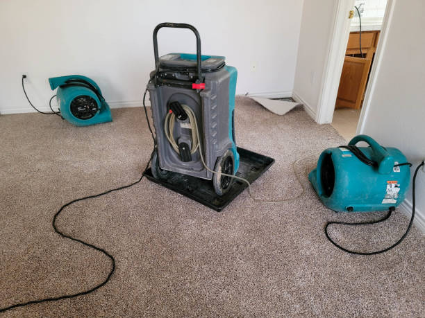 Best Local water damage restoration  in Samson, AL