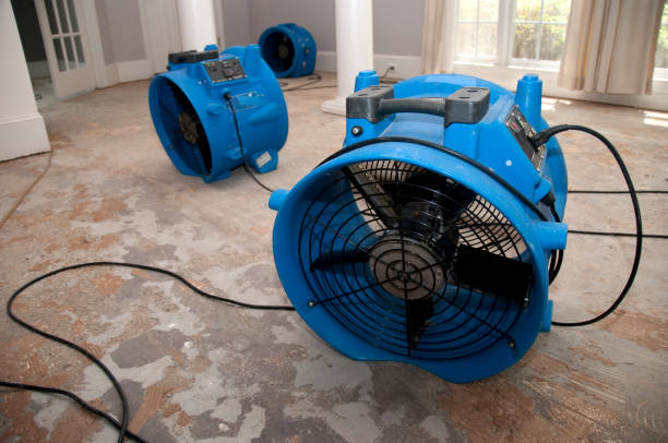 Best Water damage mitigation services  in Samson, AL