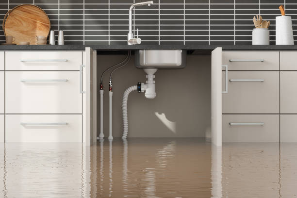 Professional Water damage restoration in Samson, AL