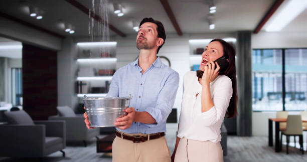 Best Water damage cleanup near me  in Samson, AL