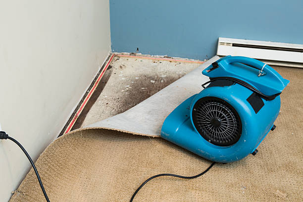 Best Commercial water damage restoration  in Samson, AL